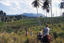 Dominican Republic-Puerto Plata-Dominican North Coast Ride